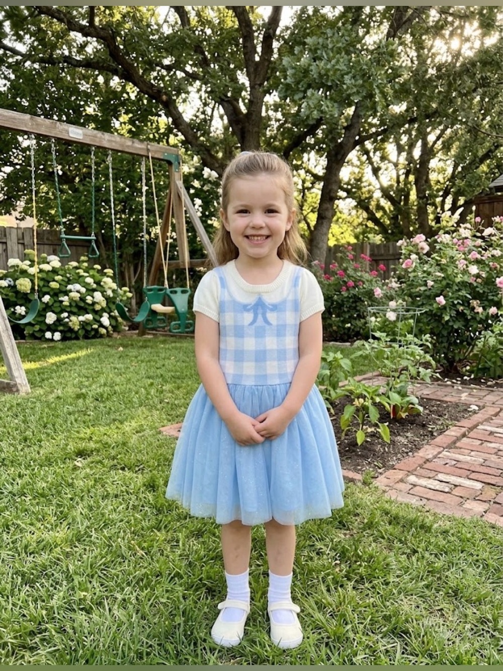 The Wizard of Oz Dorothy Dress